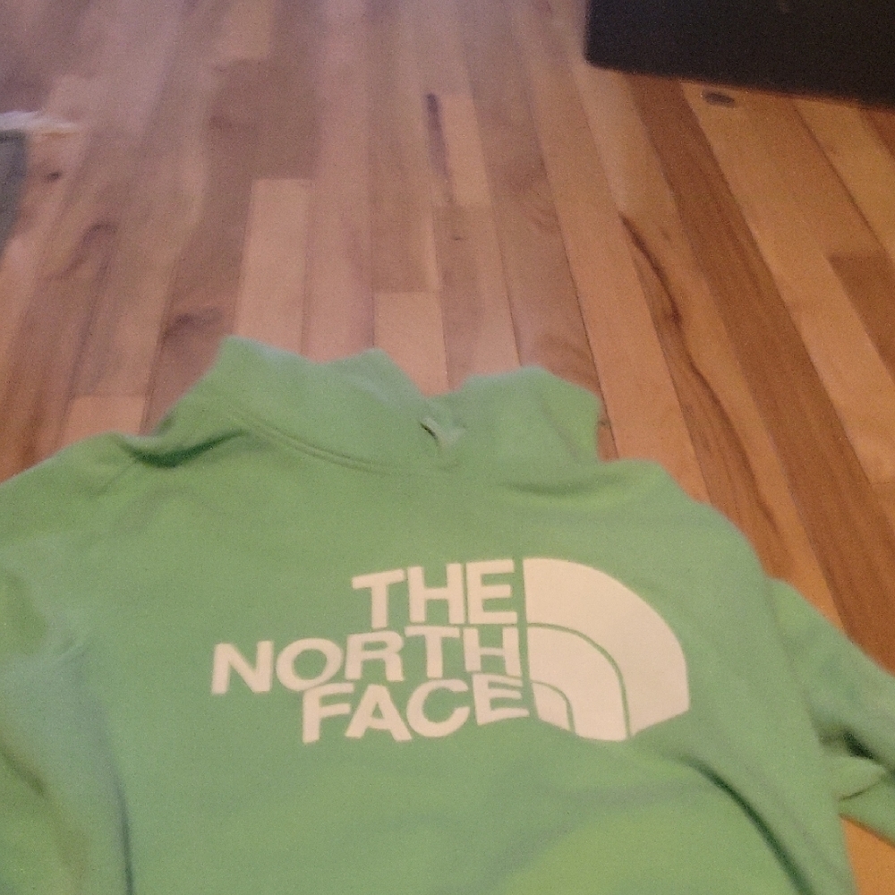 The North Face Men Mint Green Hoodie